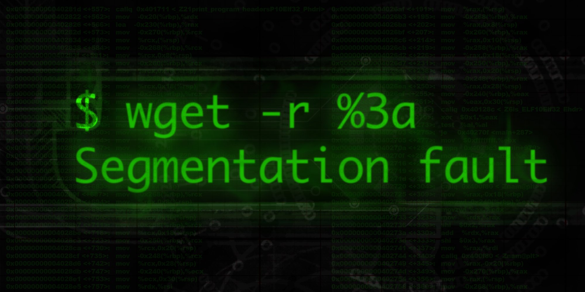 wget - segfault: Summary